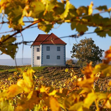 Апартаменты Wine Grower'S Mansion Zlati Gric Словенске-Конице Экстерьер фото