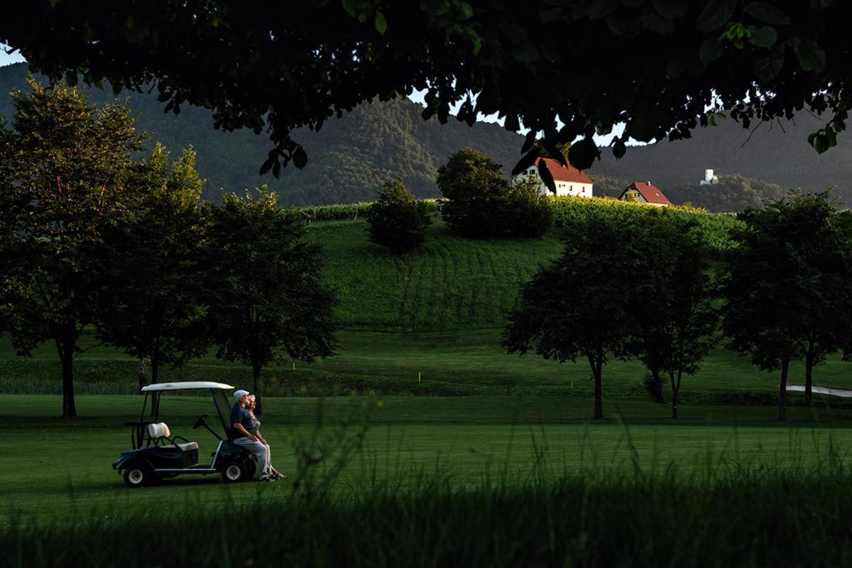 Апартаменты Wine Grower'S Mansion Zlati Gric Словенске-Конице Экстерьер фото