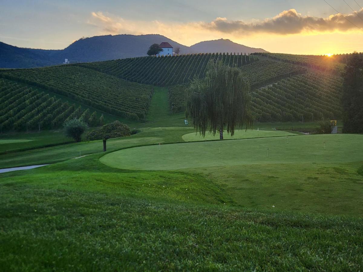 Апартаменты Wine Grower'S Mansion Zlati Gric Словенске-Конице Экстерьер фото