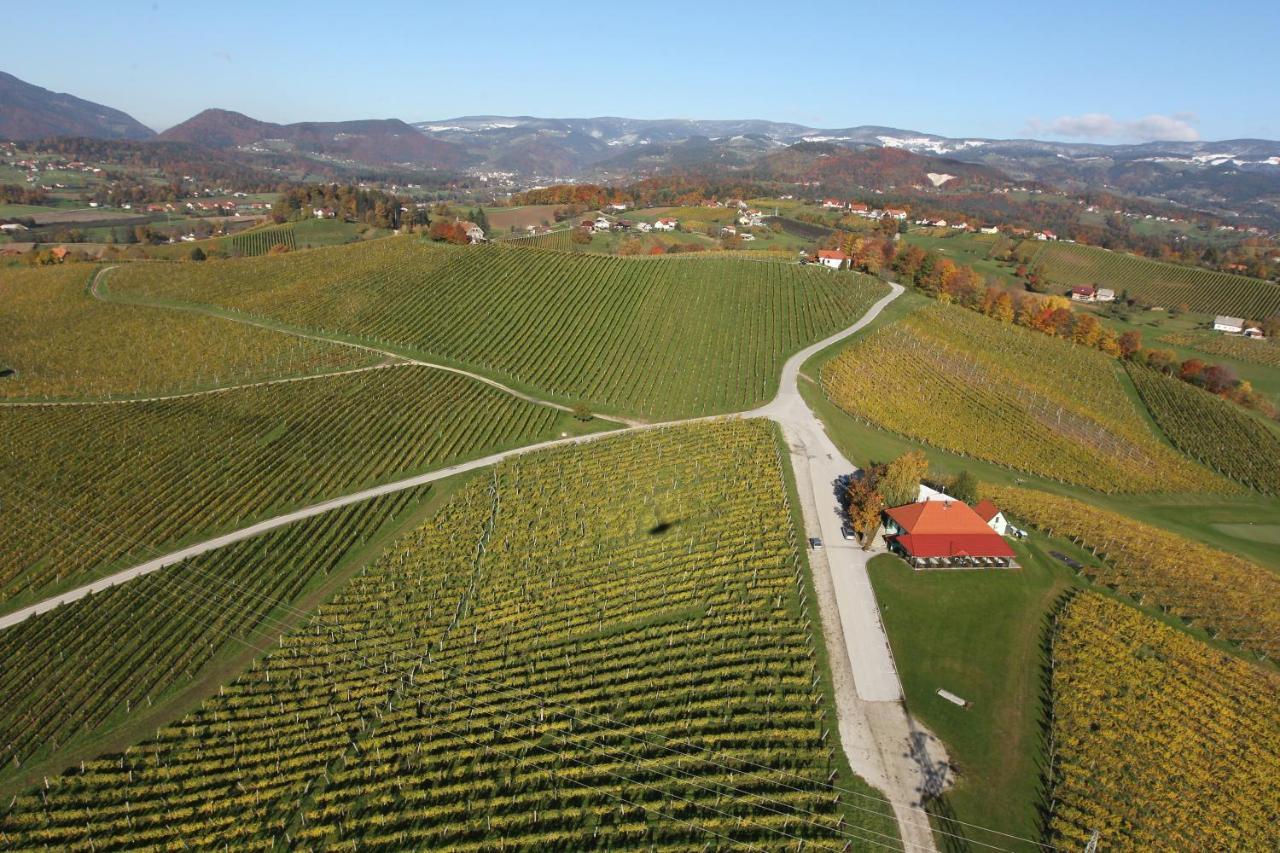 Апартаменты Wine Grower'S Mansion Zlati Gric Словенске-Конице Экстерьер фото