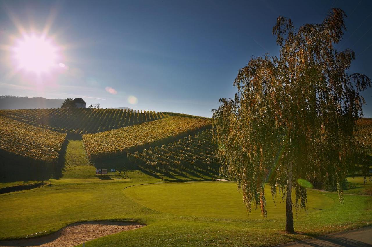 Апартаменты Wine Grower'S Mansion Zlati Gric Словенске-Конице Экстерьер фото