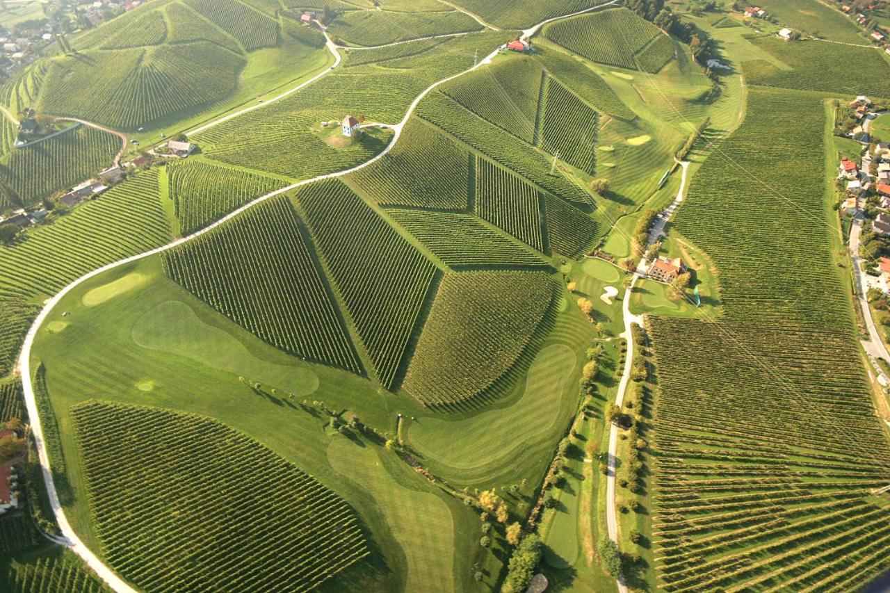 Апартаменты Wine Grower'S Mansion Zlati Gric Словенске-Конице Экстерьер фото