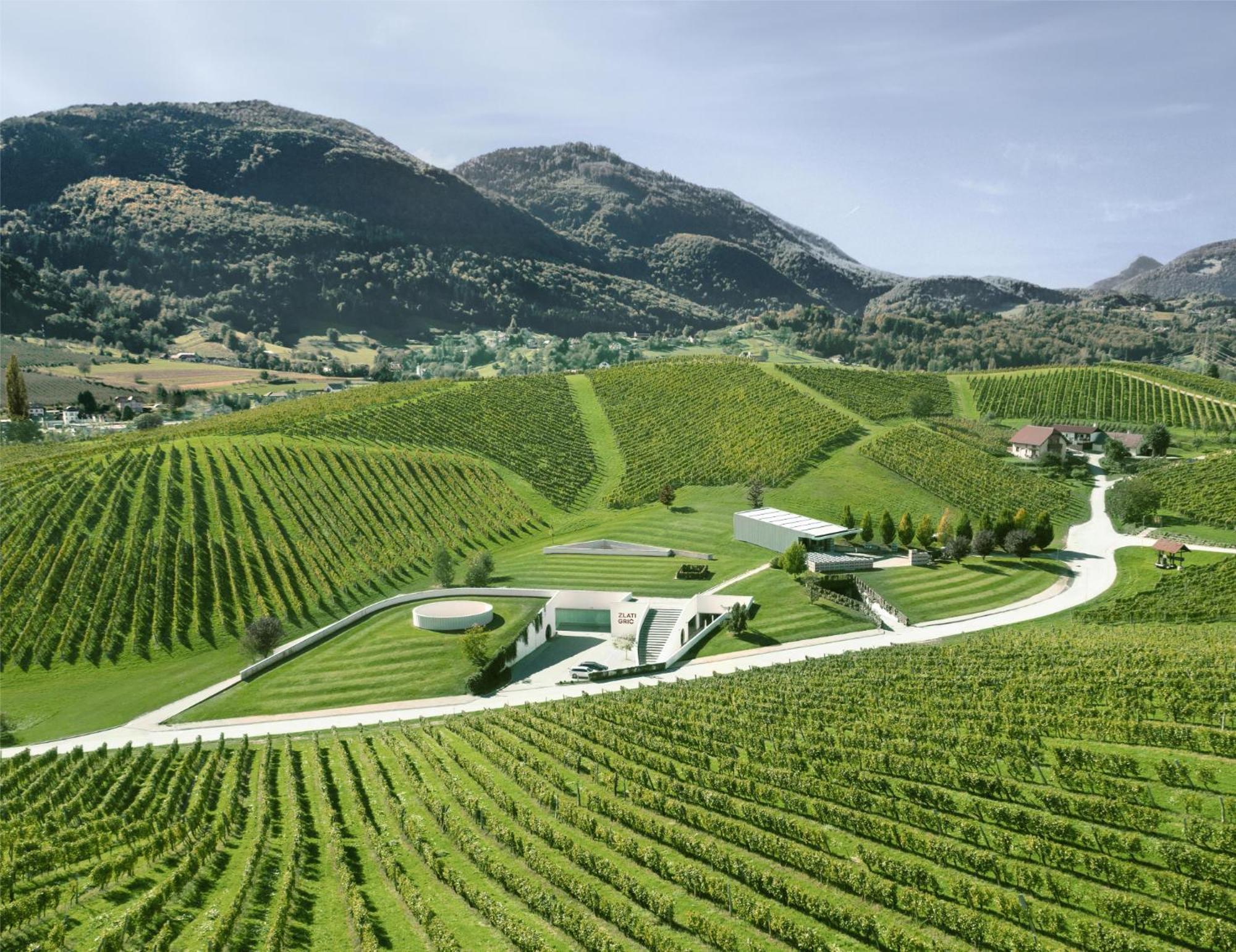 Апартаменты Wine Grower'S Mansion Zlati Gric Словенске-Конице Экстерьер фото