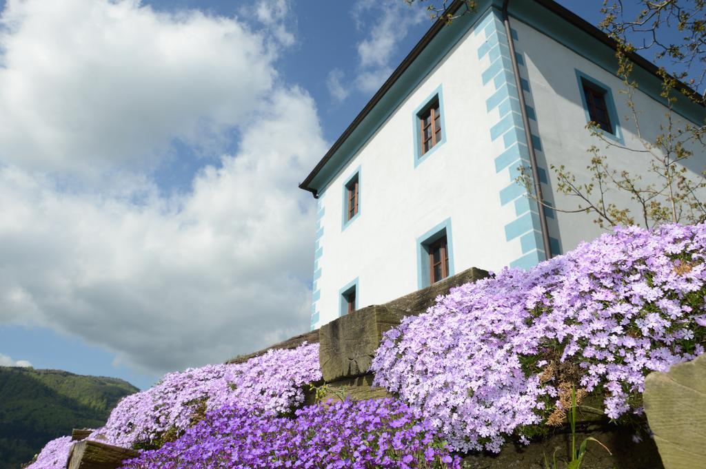 Апартаменты Wine Grower'S Mansion Zlati Gric Словенске-Конице Экстерьер фото