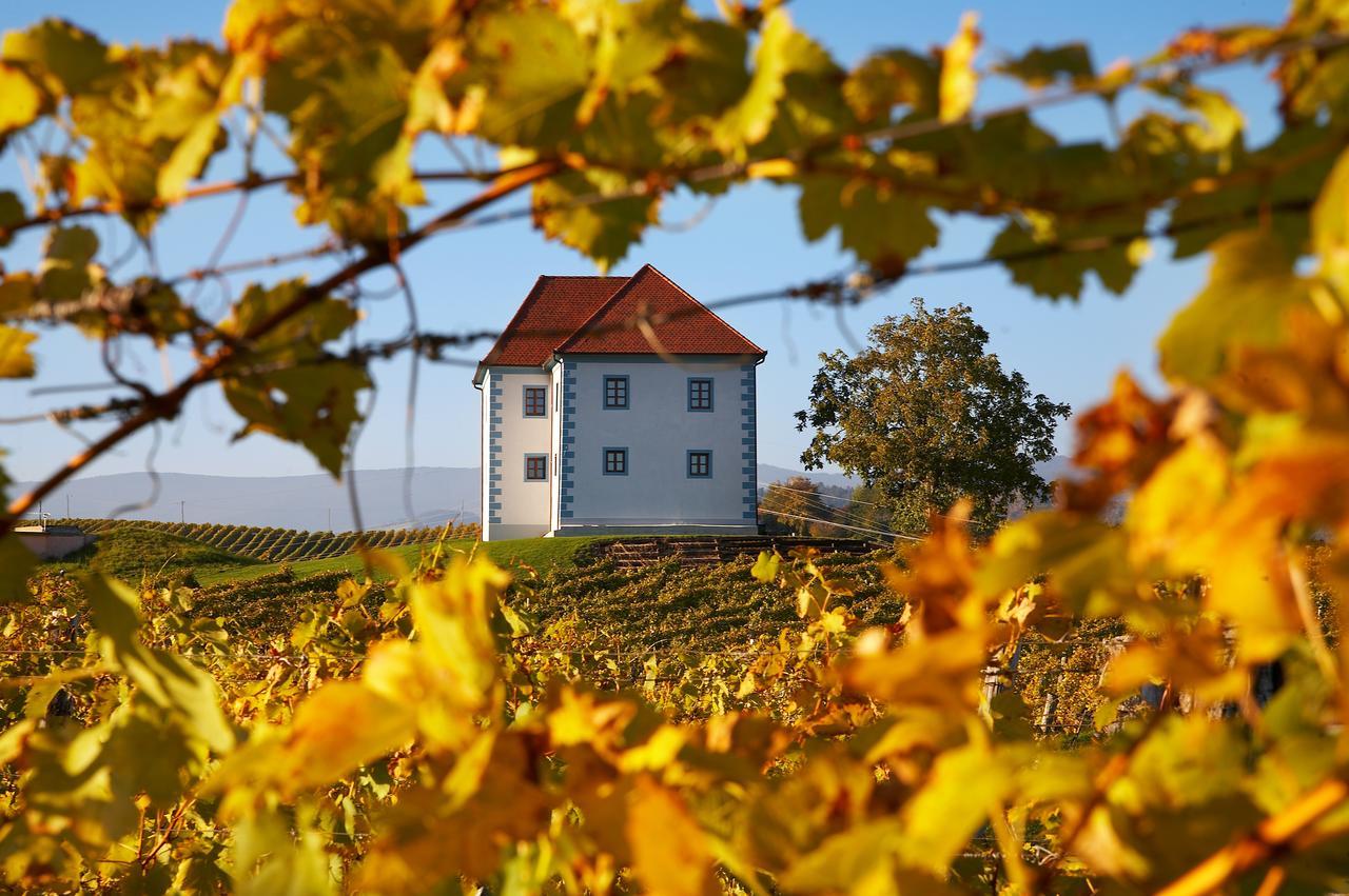 Апартаменты Wine Grower'S Mansion Zlati Gric Словенске-Конице Экстерьер фото