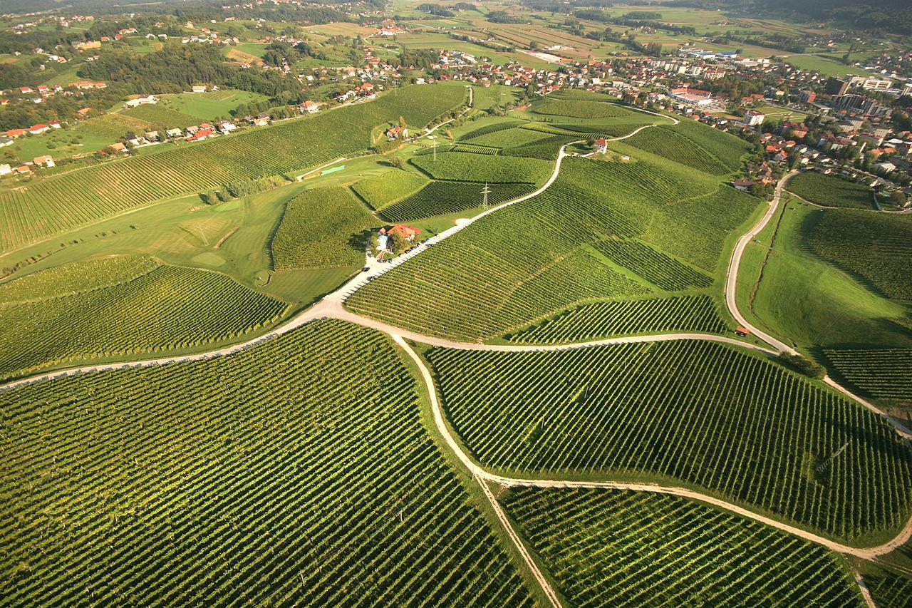 Апартаменты Wine Grower'S Mansion Zlati Gric Словенске-Конице Экстерьер фото