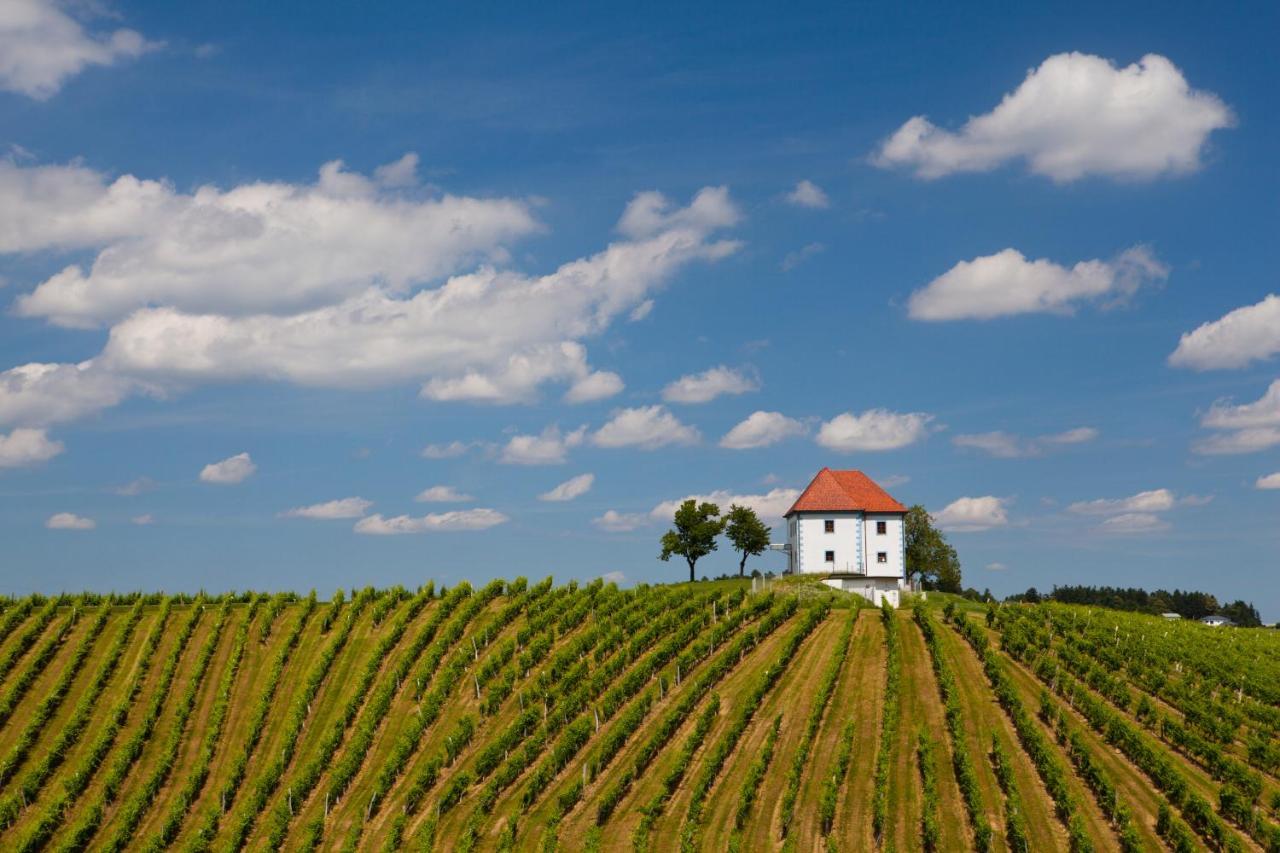 Апартаменты Wine Grower'S Mansion Zlati Gric Словенске-Конице Экстерьер фото